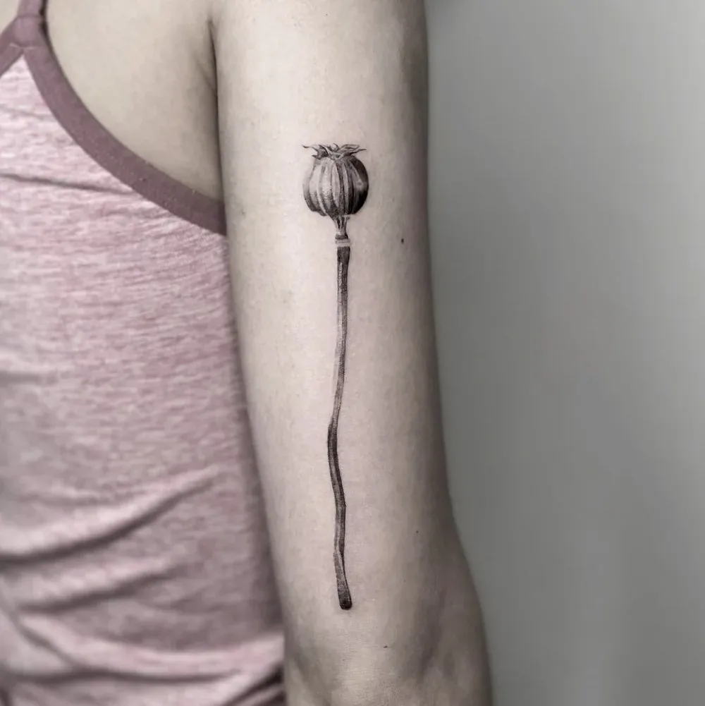 Mohnkapsel, Tattoo am Oberarm von Barni
