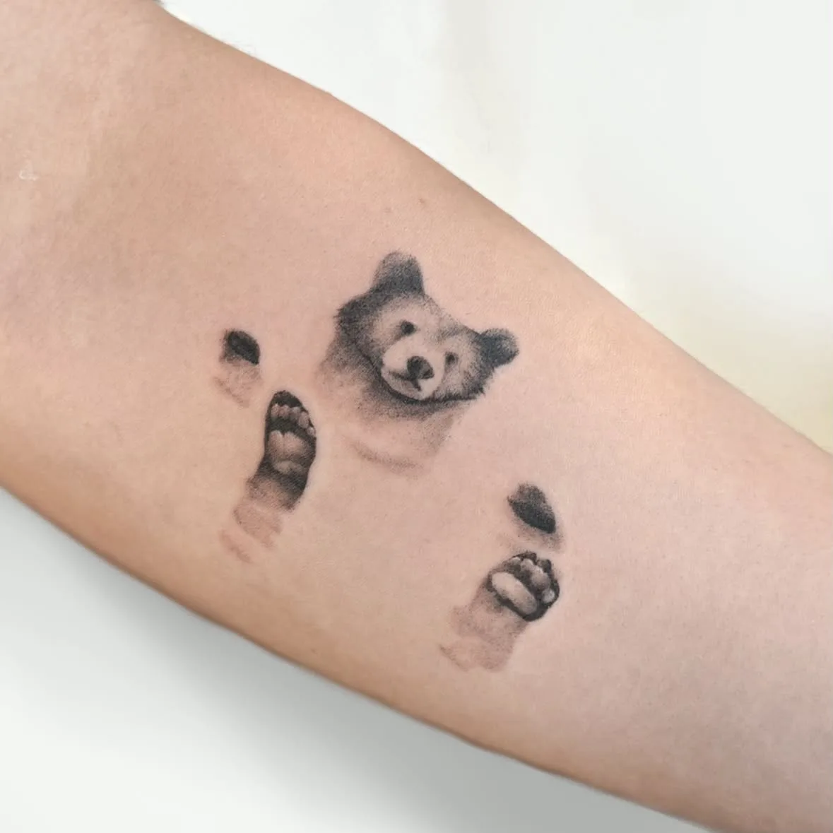 Kleiner Bär, der mit Kopf und Tatzen aus der Haut schaut. Mikro-Realismus in Black and Grey, Tattoo von Inna auf dem Unterarm.