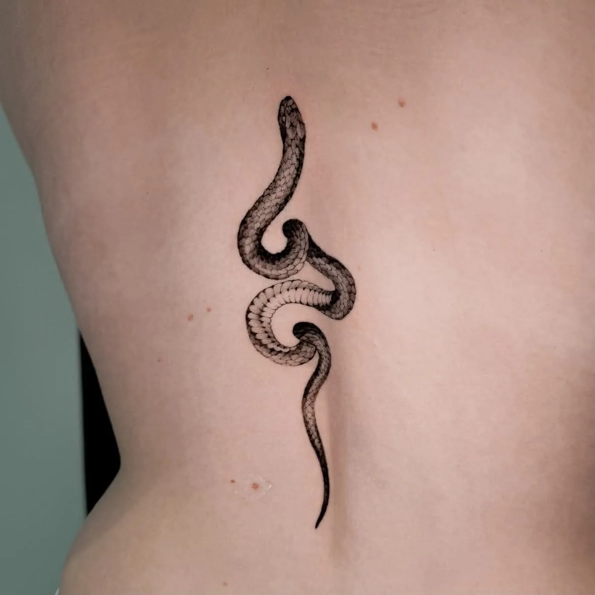 Schlange in geschwungener Linie mit feinen Schuppen. Mikro-Realismus in Black and Grey, Tattoo von Inna auf dem Rücken.
