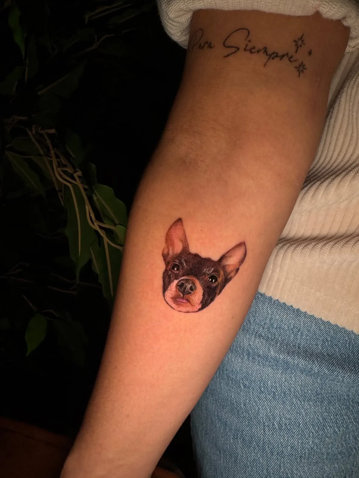 Porträt eines kleinen Hundes in Farbe. Mikro-Realismus, Tattoo von Inna auf dem Unterarm.
