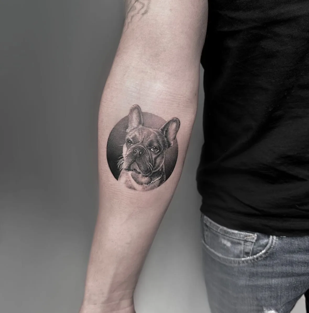 Porträt einer Französischen Bulldogge in einem Kreis. Black-and-Grey-Tattoo von Sloan auf dem Unterarm.